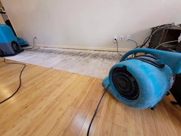 Professional Water Removal technician working in Stark City, MO